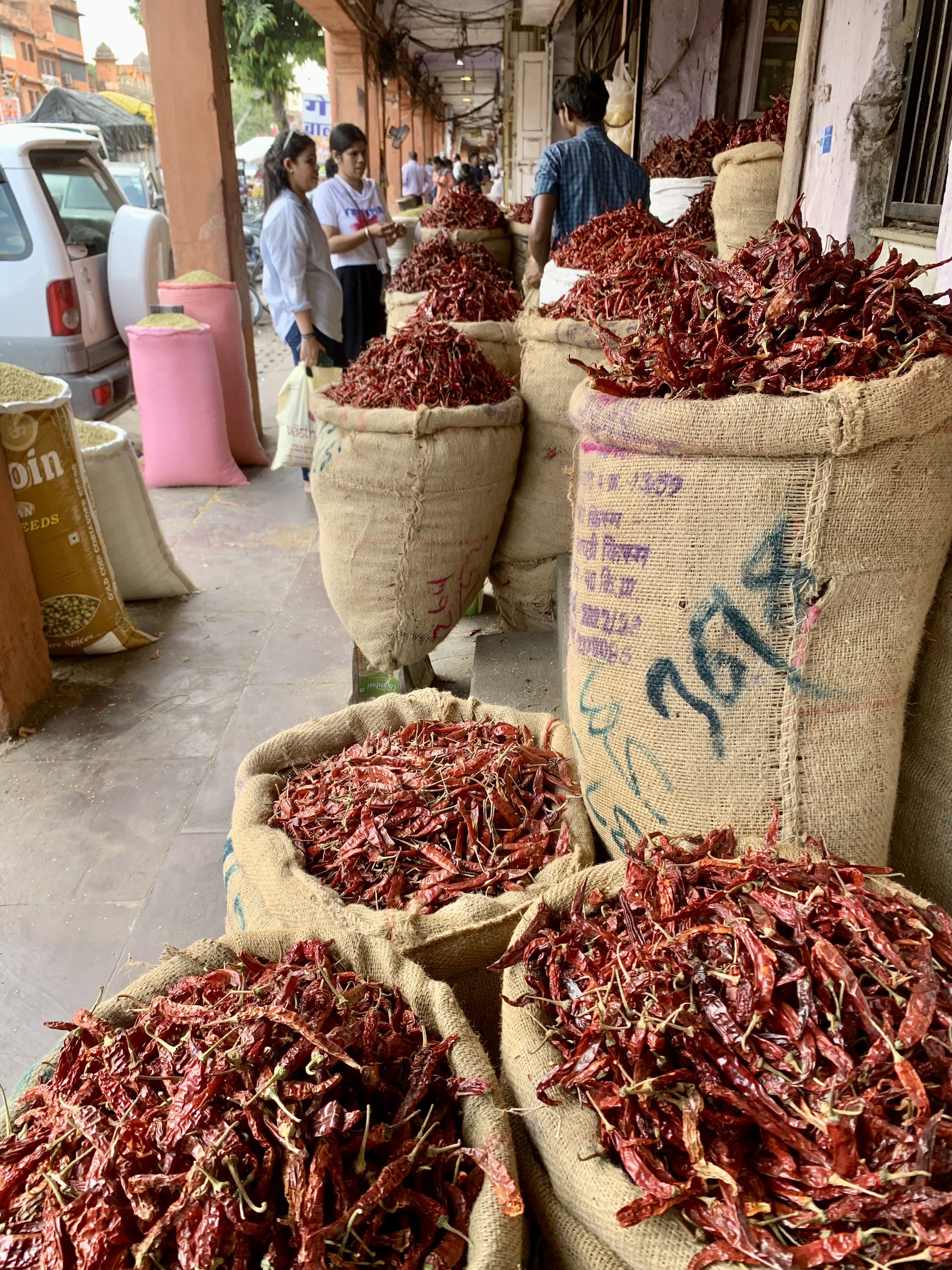 Whole sun-dried Guntur Teja S17 red chillies with natural gloss